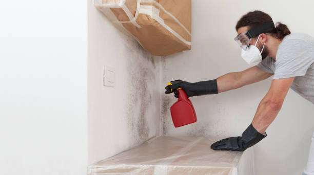 Professional Attic Mold Removal technician working in Newton, NC