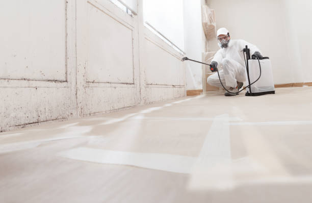 24/7 Emergency Attic Mold Removal experts in Newton, NC