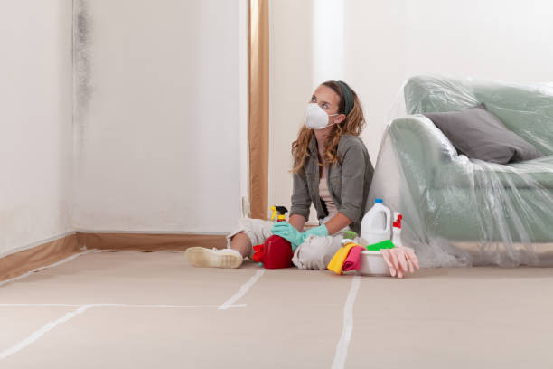Reliable Attic Mold Removal contractor in Newton, NC by WQB Mold Removal